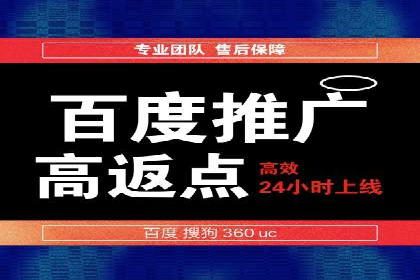 百度竞价公司与品牌合作：双赢的案例分析